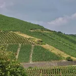 Ahrpart Ξενοδοχείο Bad Neuenahr-Ahrweiler