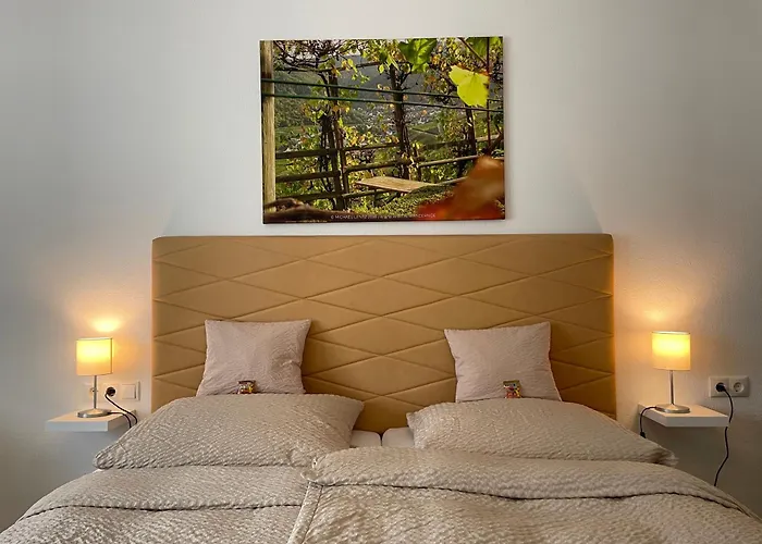 Ahrpart 3* Bad Neuenahr-Ahrweiler