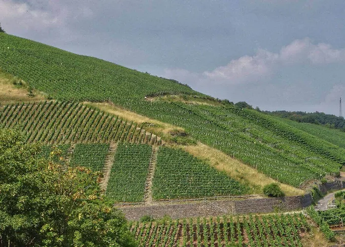Ahrpart Hotell Bad Neuenahr-Ahrweiler